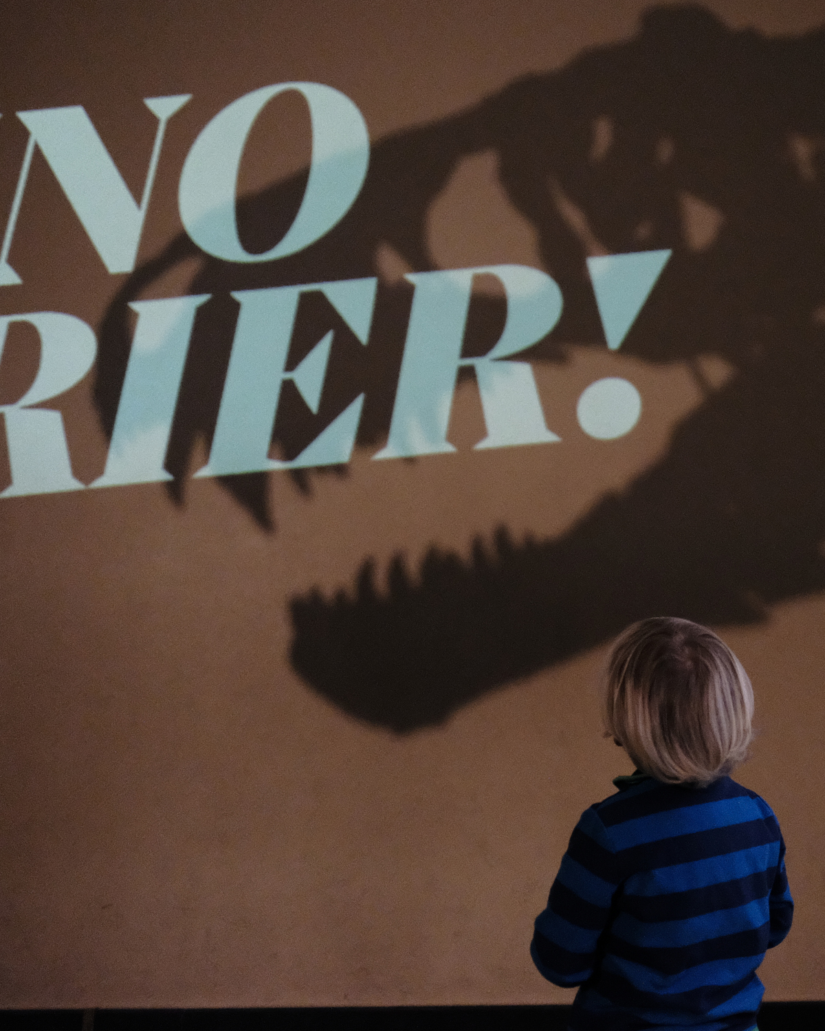 Kind vor Dinosaurier-Projektion