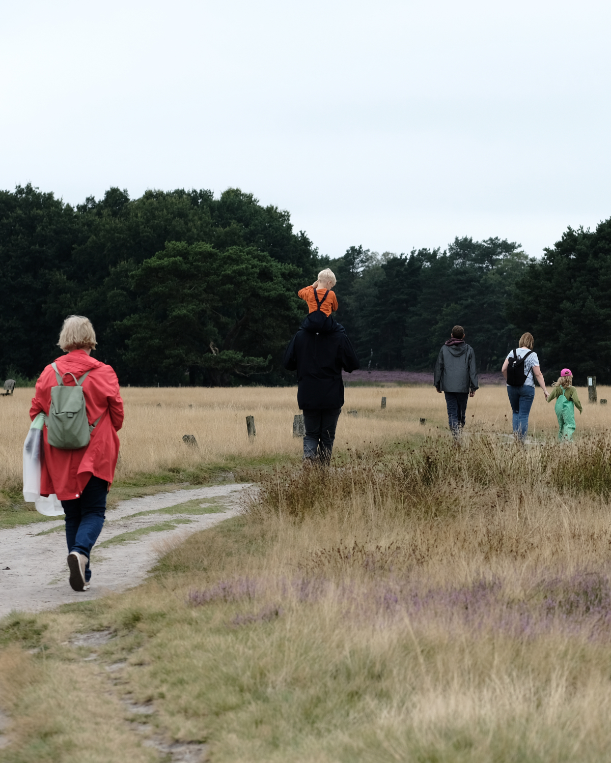 Familie spaziert in der Heide
